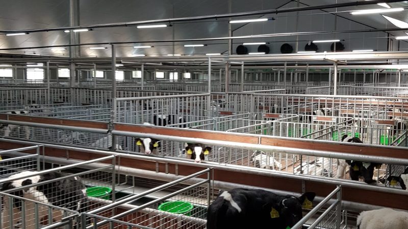揭秘抖音小店代运营：价格背后的价值考量